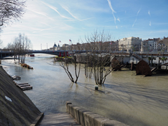 Cliquez sur la vignette pour l'agrandir